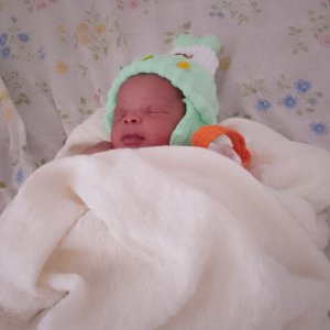 Adesayo Onifade -contestant